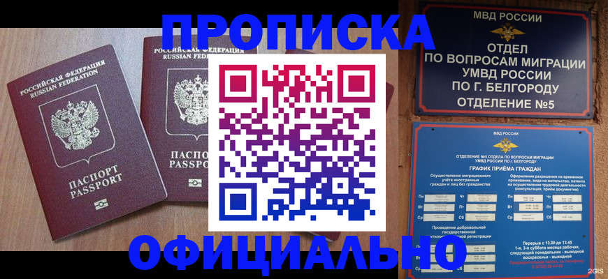 найти адрес прописки в Нововоронеже